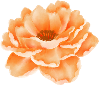 Watercolor Individual Orange Flower